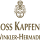 logo_kapfenstein